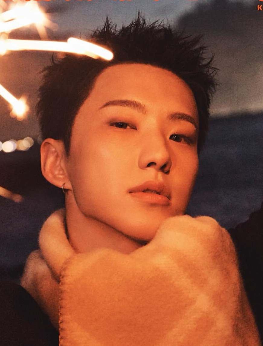 호시 (세븐틴) 팬이 찍은 순간