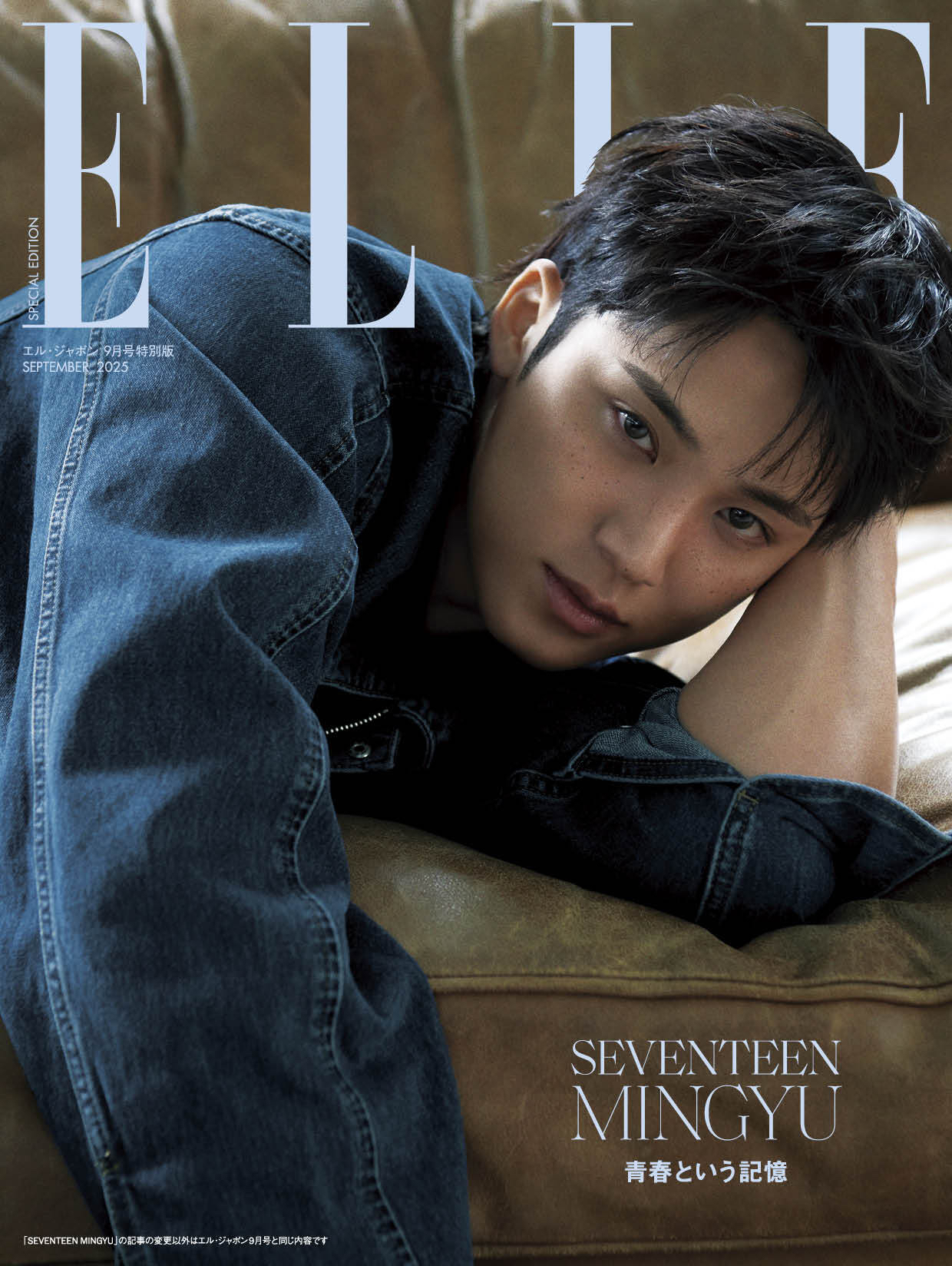 Latest photo of Mingyu (SEVENTEEN)
