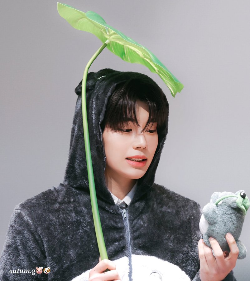 Behind-the-scenes cut of Park Gunwook (ZEROBASEONE)