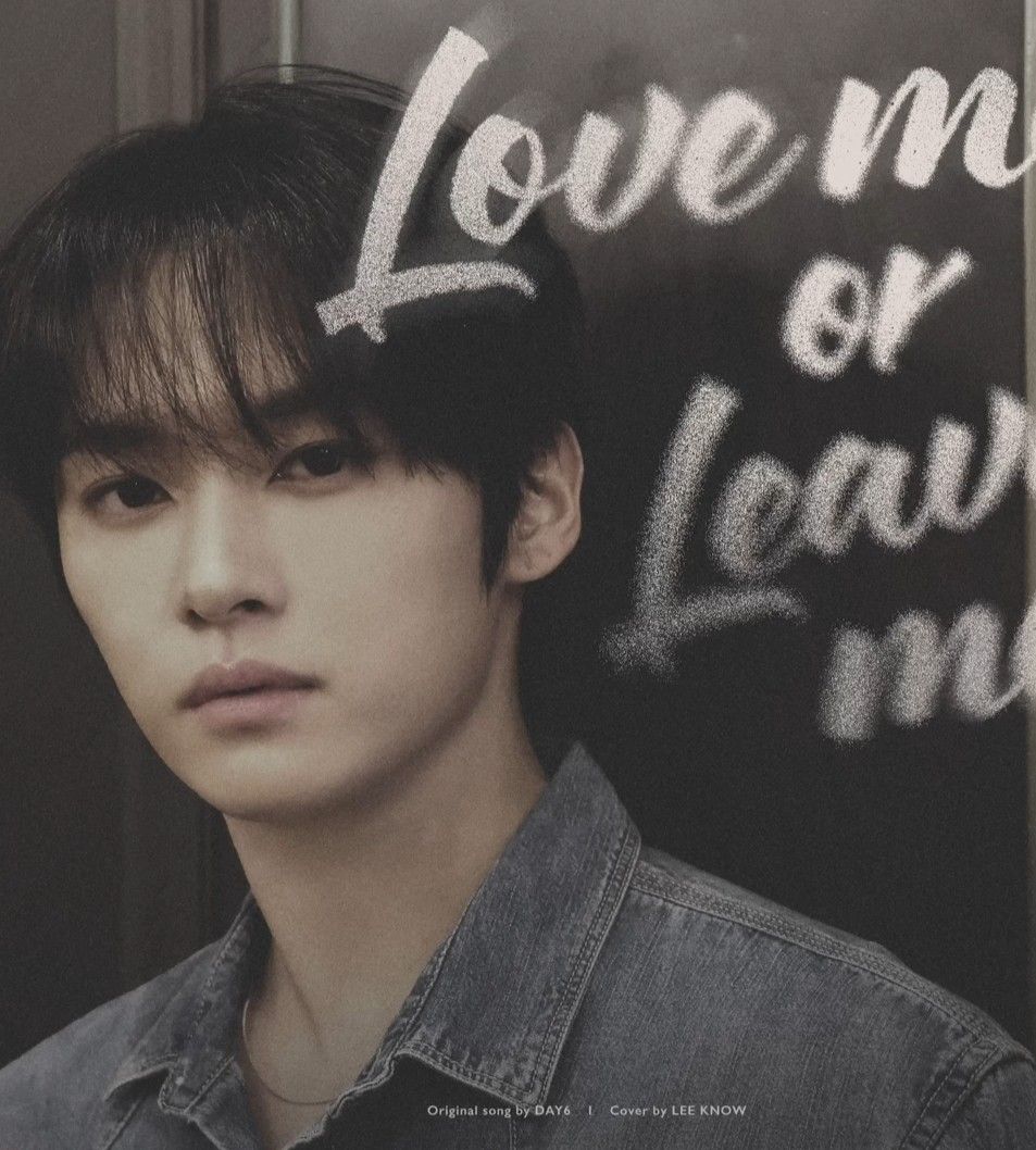 Lee Know (Stray Kids)粉絲拍下的瞬間