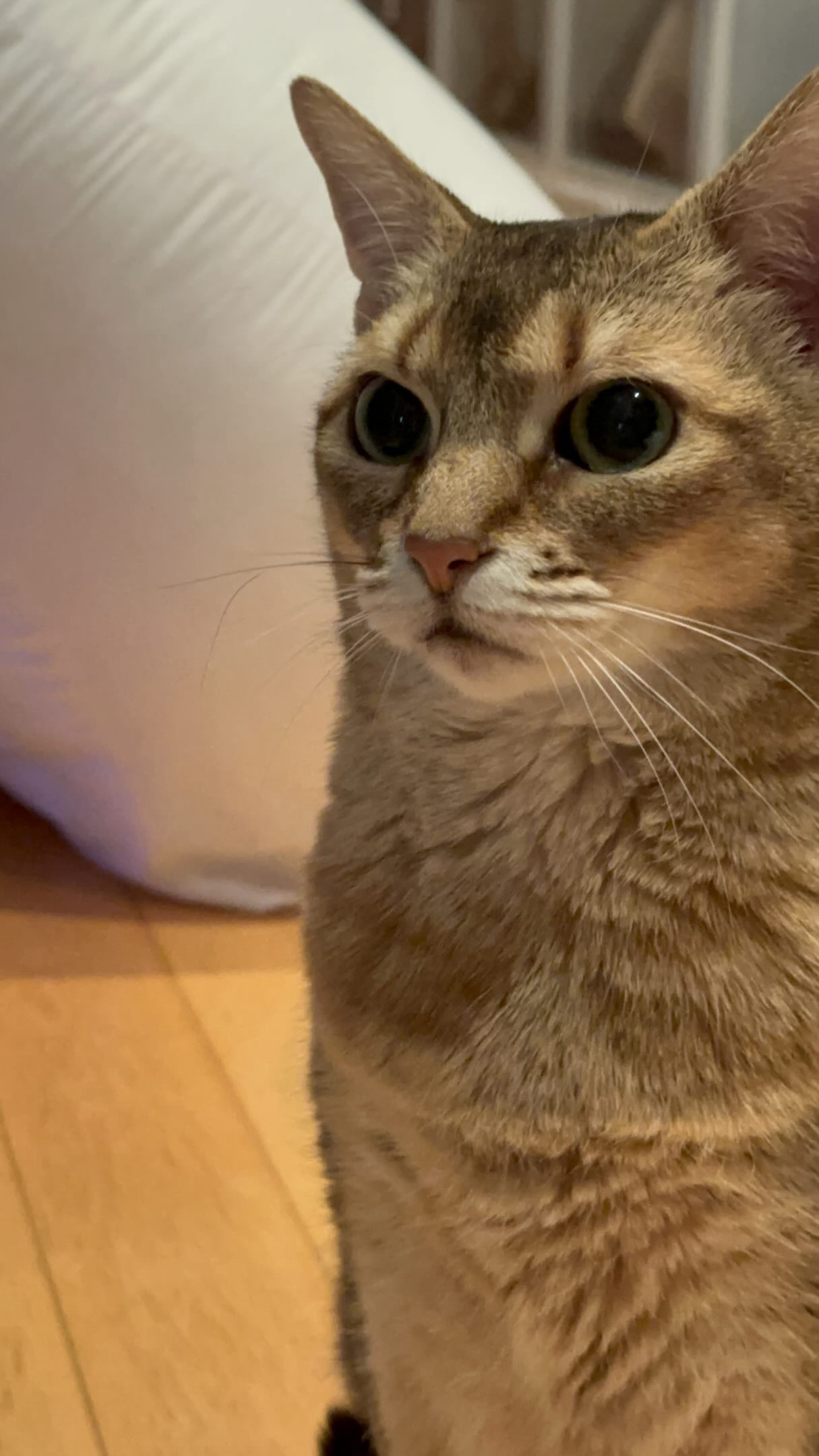 강다니엘의 비하인드 컷