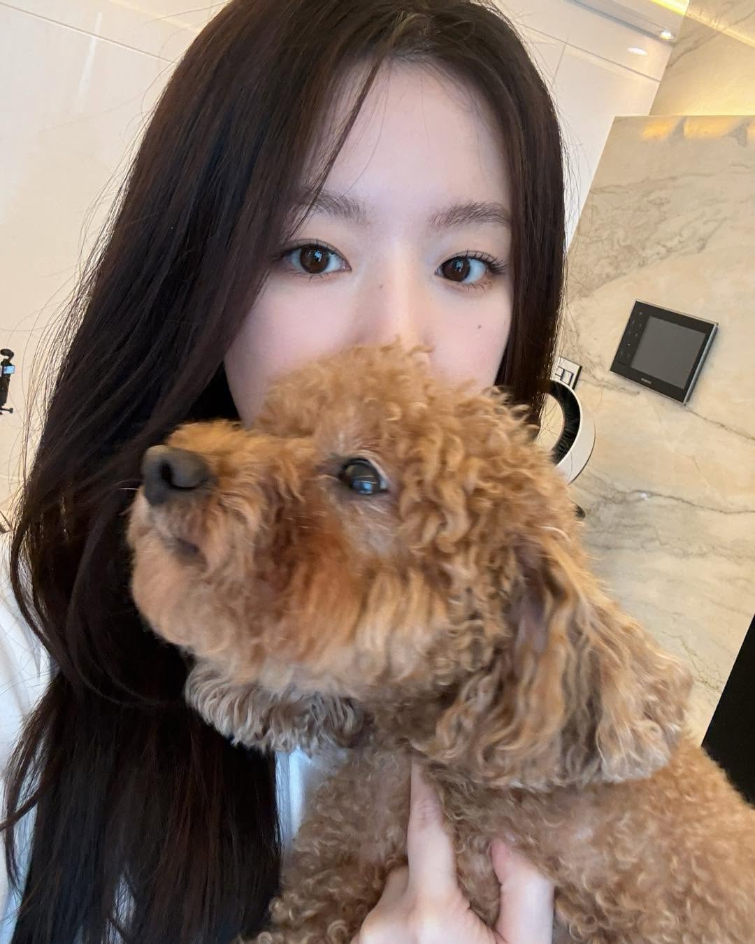 シュファ (i-dle)ファンが撮った瞬間