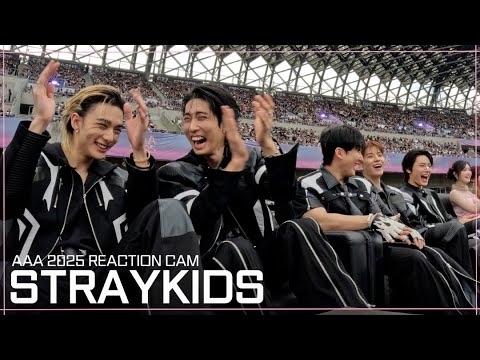 A moment captured by Stray Kids's fan