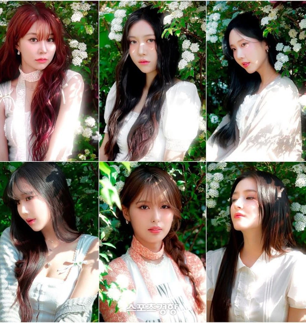 Latest photo of MOMOLAND
