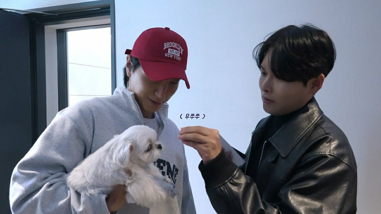 Recent activity shot of Super Junior
