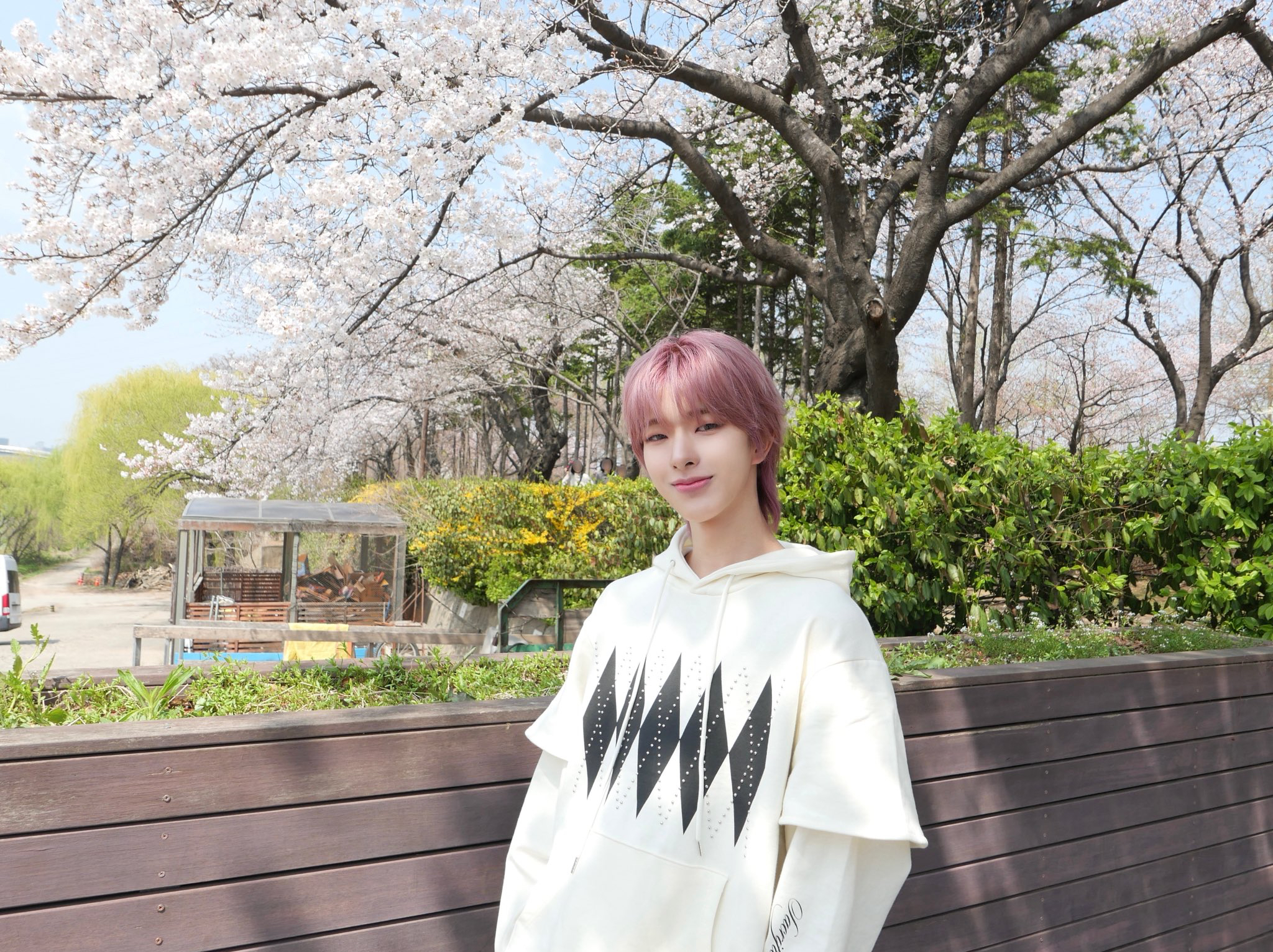 Recent activity shot of Tomoya (NEXZ)