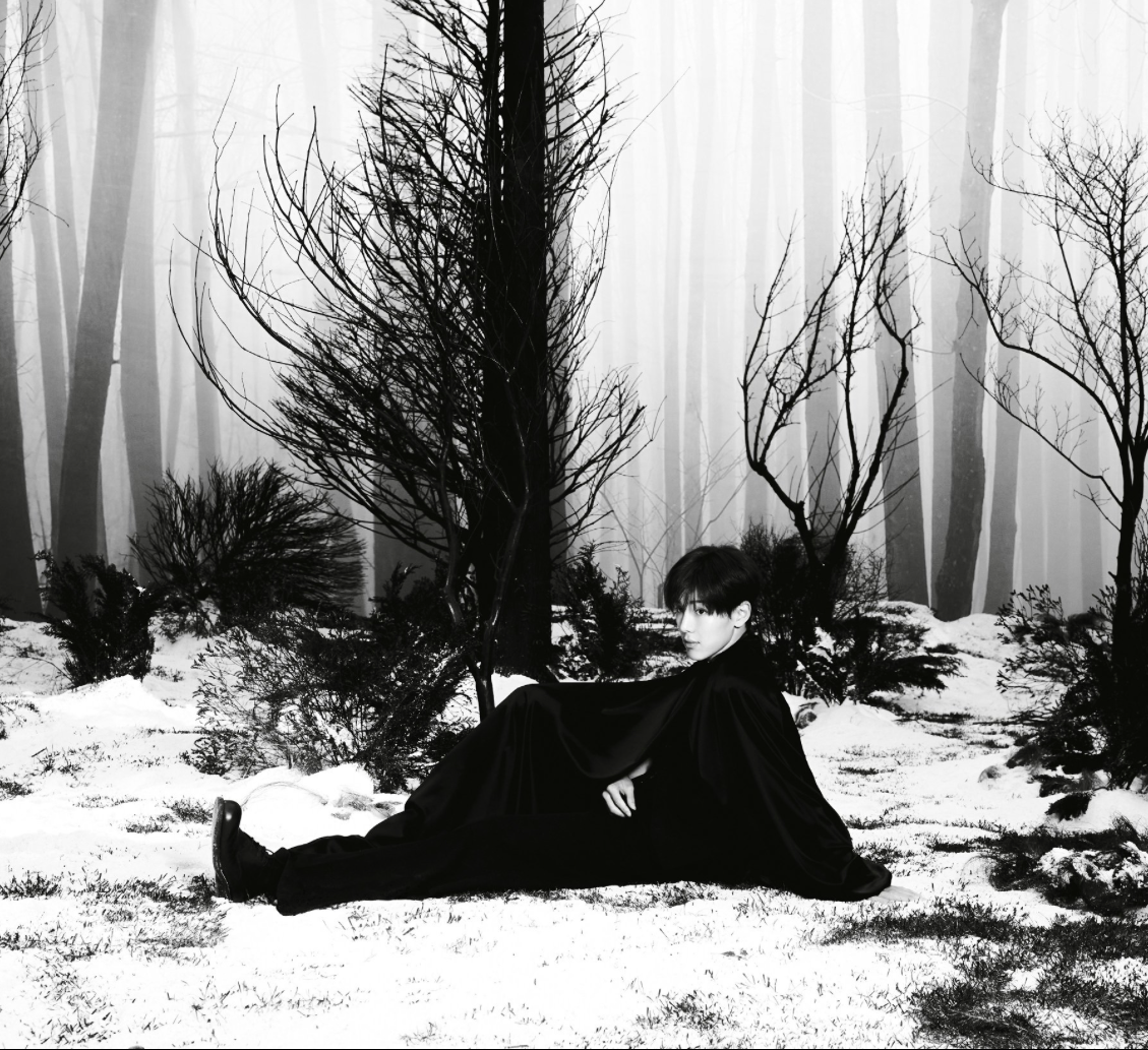 A moment captured by Shownu (MONSTA X)'s fan