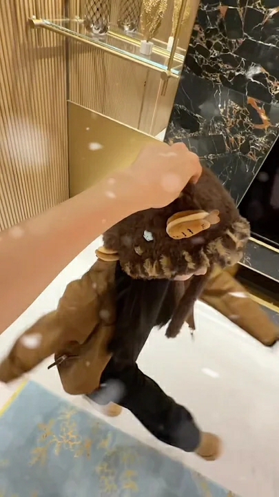 Recent activity shot of TWICE