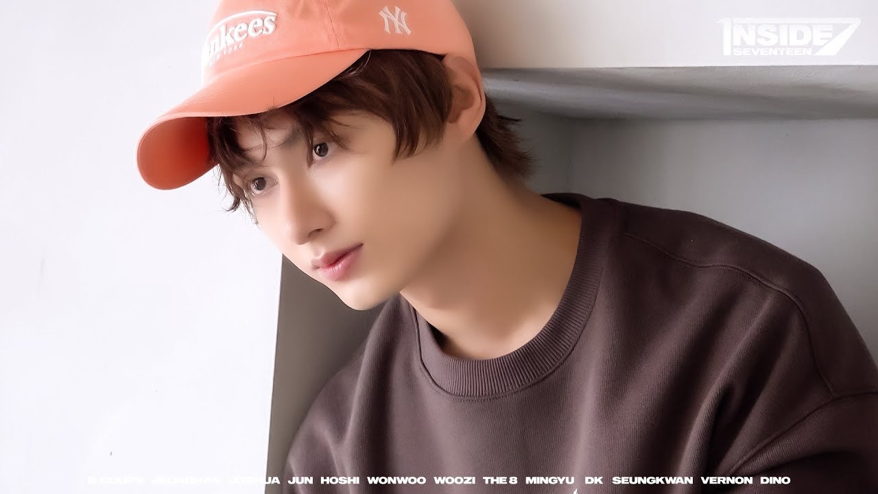 SEVENTEENファンが撮った瞬間