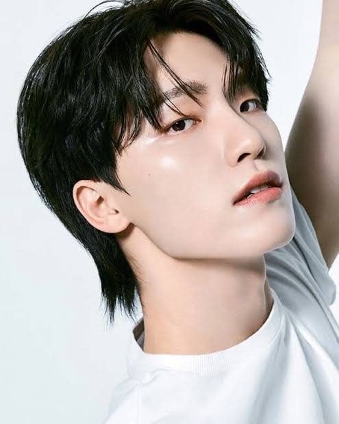 Recent activity shot of Dino (SEVENTEEN)