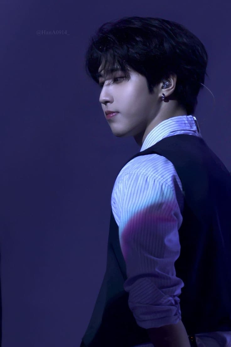 A moment captured by HAN (Stray Kids)'s fan