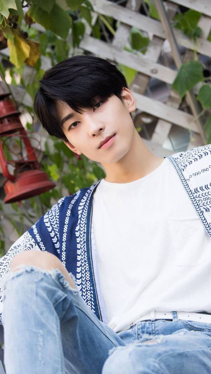 The most beloved wallpaper among Wonwoo (SEVENTEEN)'s fans