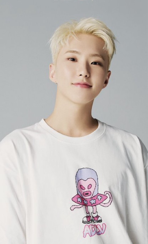 A moment captured by Hoshi (SEVENTEEN)'s fan