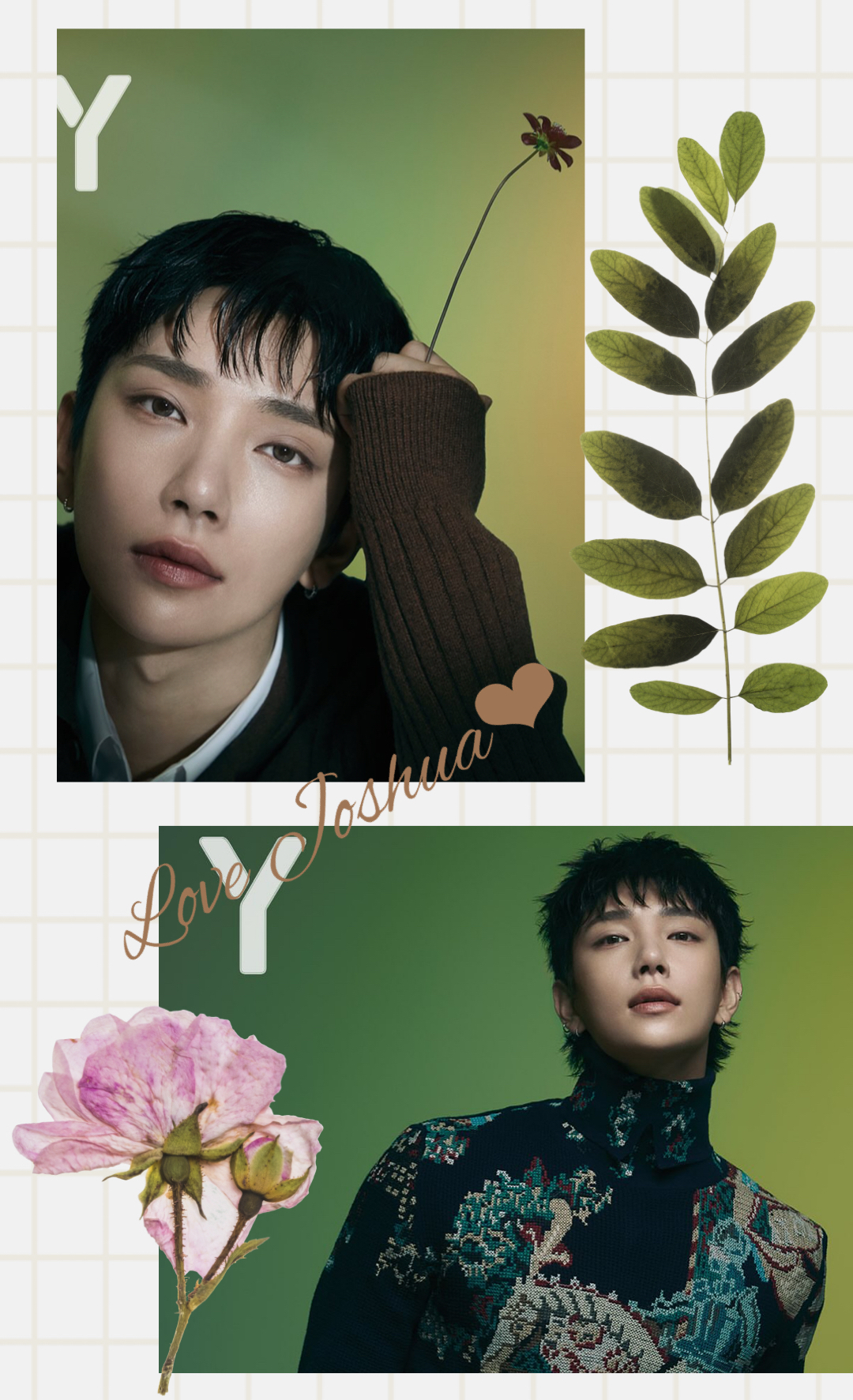 Recent activity shot of Joshua (SEVENTEEN)