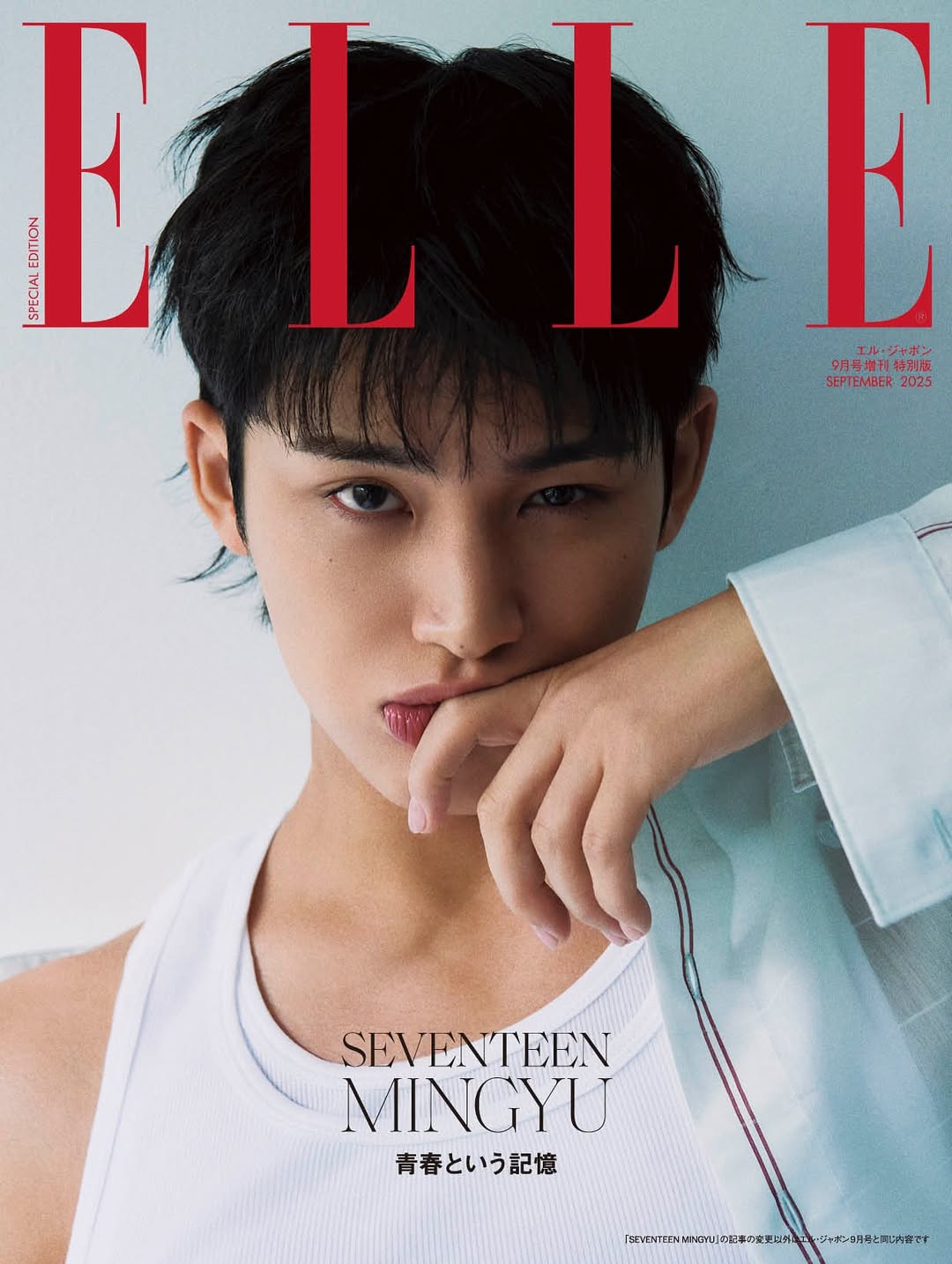 Behind-the-scenes cut of Mingyu (SEVENTEEN)