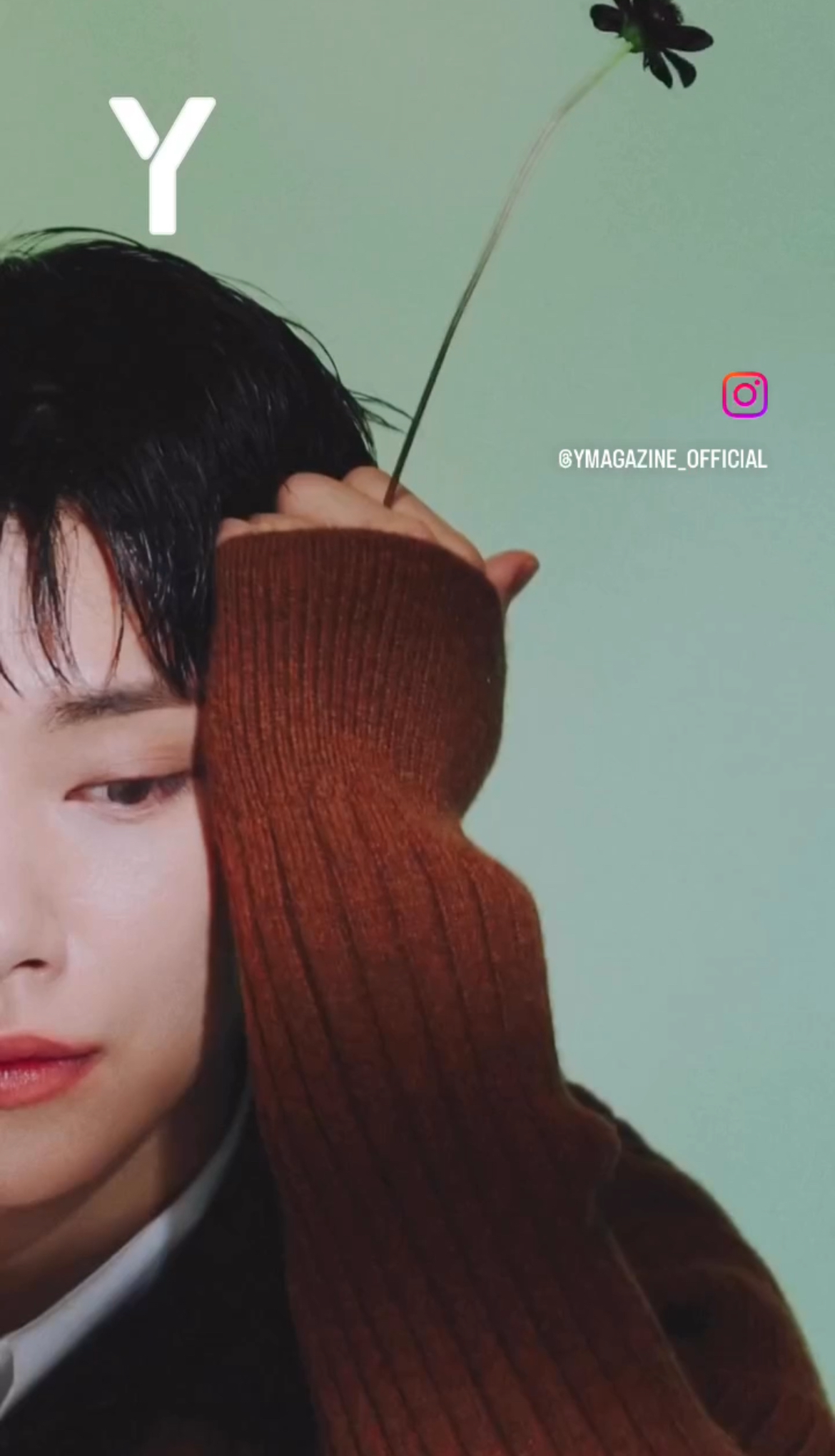 A moment captured by Joshua (SEVENTEEN)'s fan