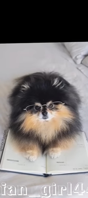 Fandom-recommended wallpaper image of SUGA (BTS)