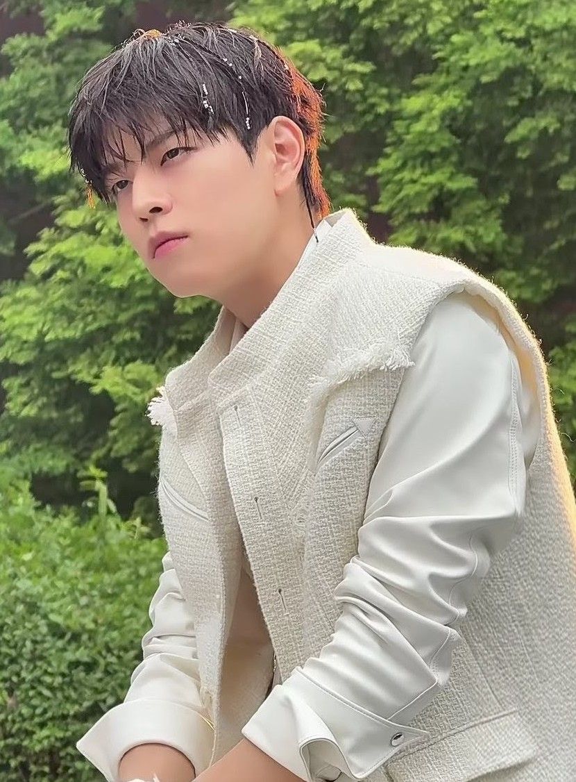 スンミン (Stray Kids)の最近の活動写真
