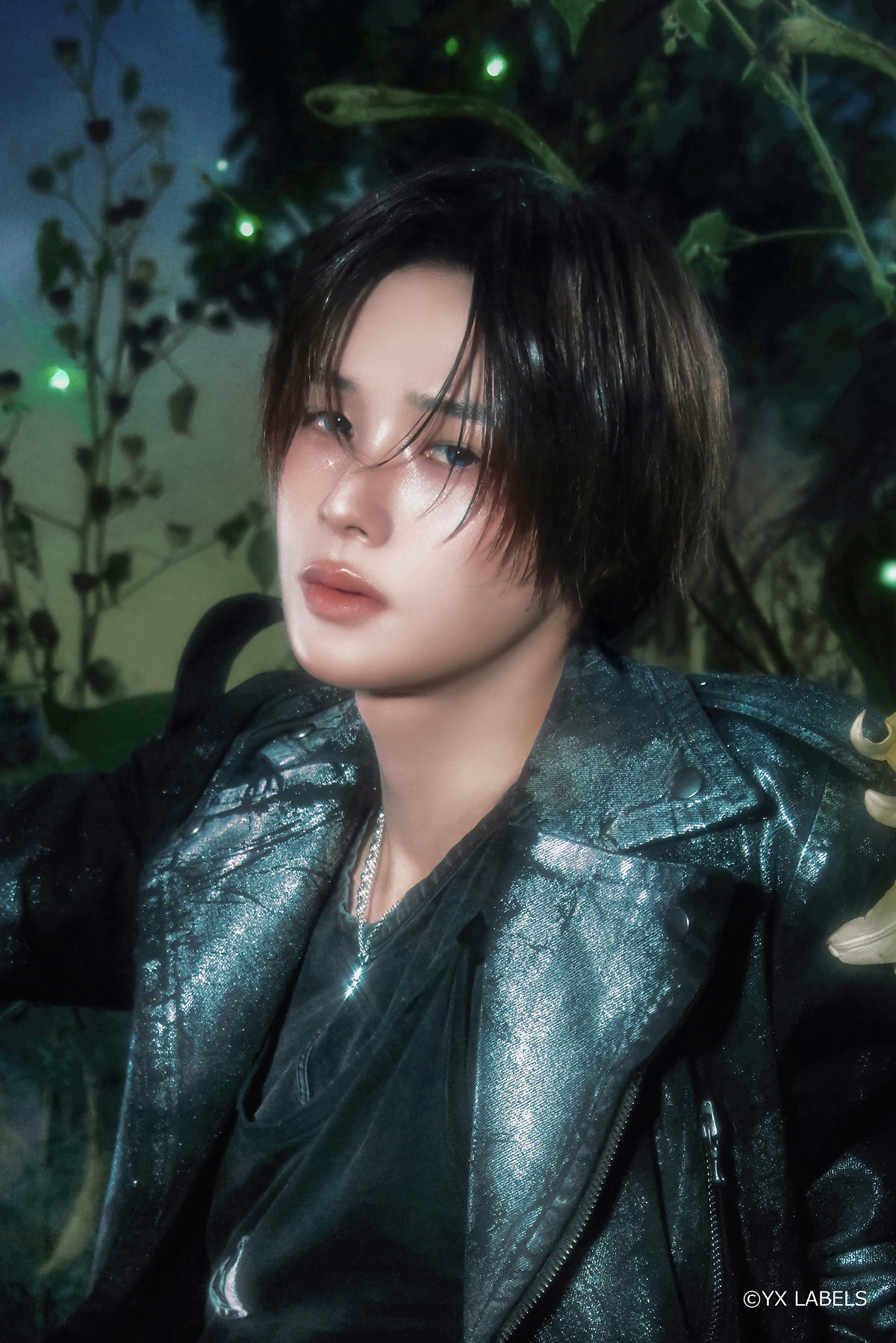 Latest photo of K (&TEAM)