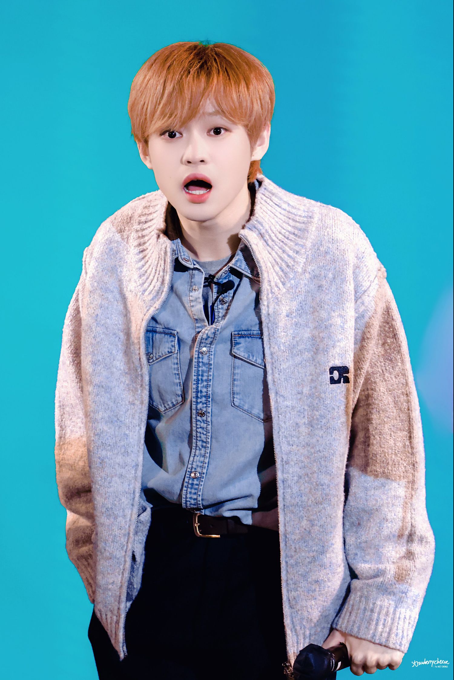 Potret di balik layar Chenle (NCT DREAM)