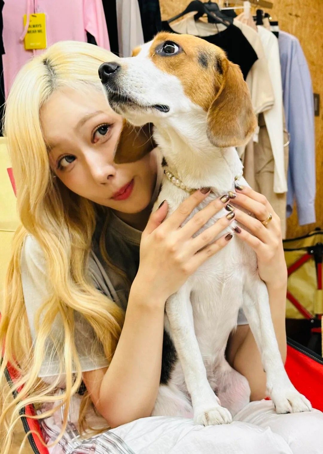 DREAMCATCHER粉丝拍下的瞬间