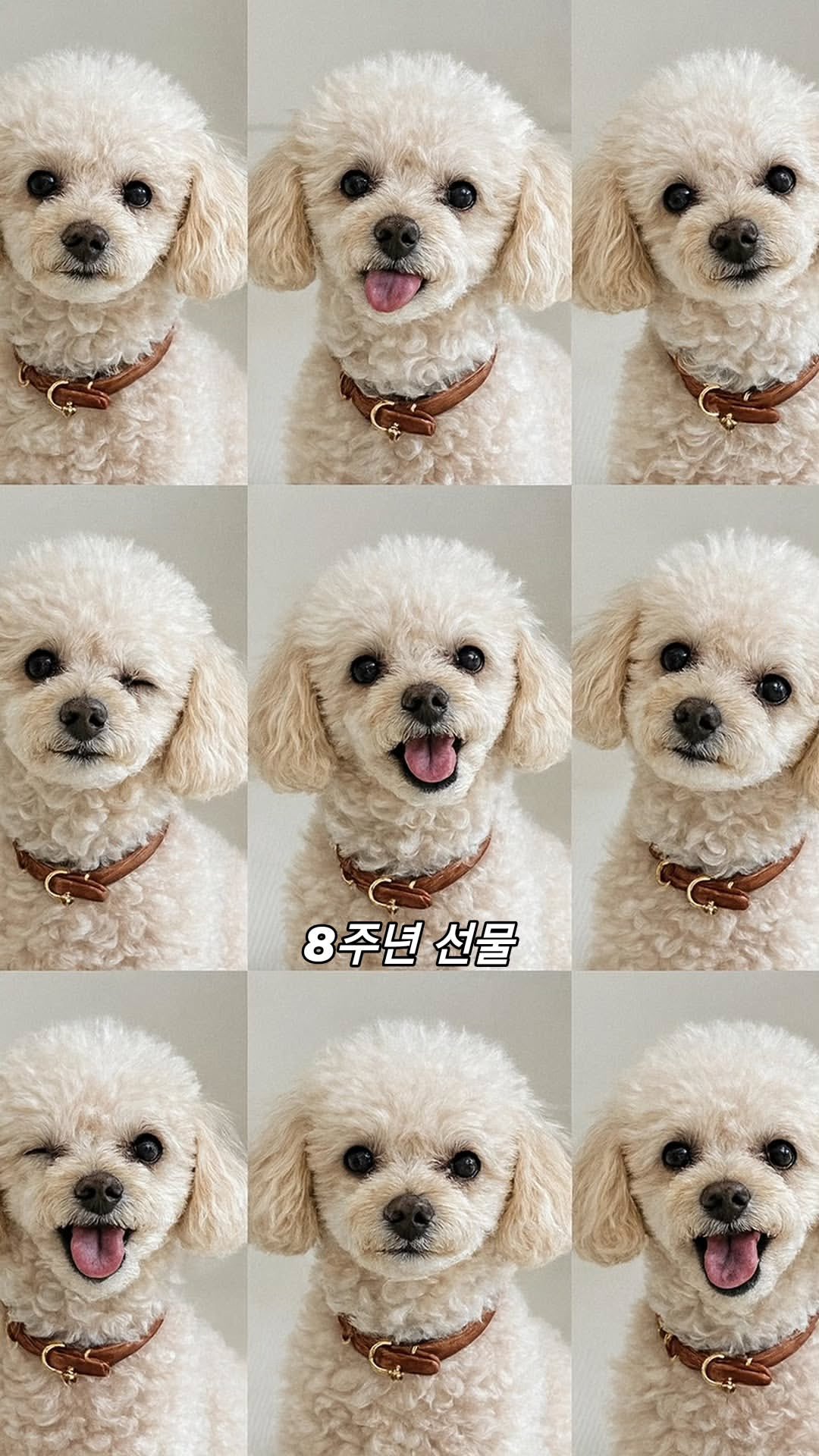 A moment captured by Younghoon (THE BOYZ)'s fan