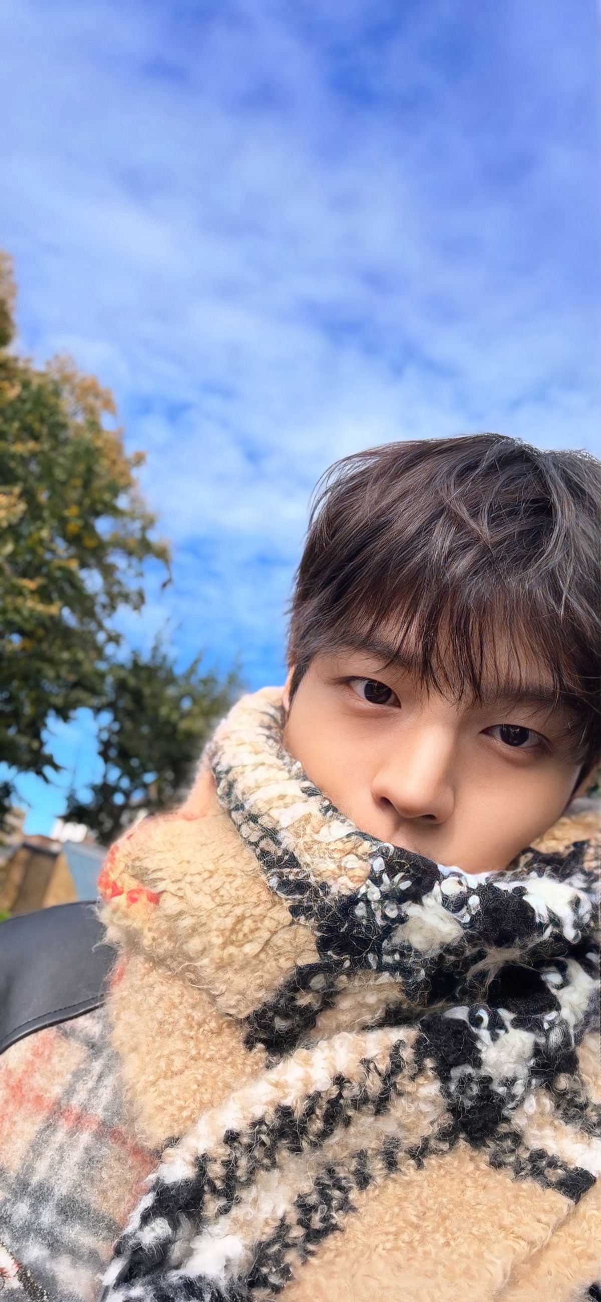 Fandom-recommended wallpaper image of Seungmin (Stray Kids)