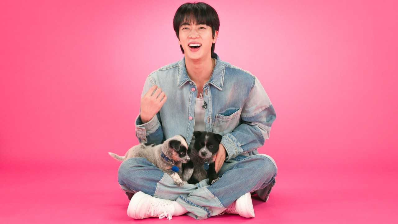 Momen yang diabadikan oleh penggemar Jin (BTS)
