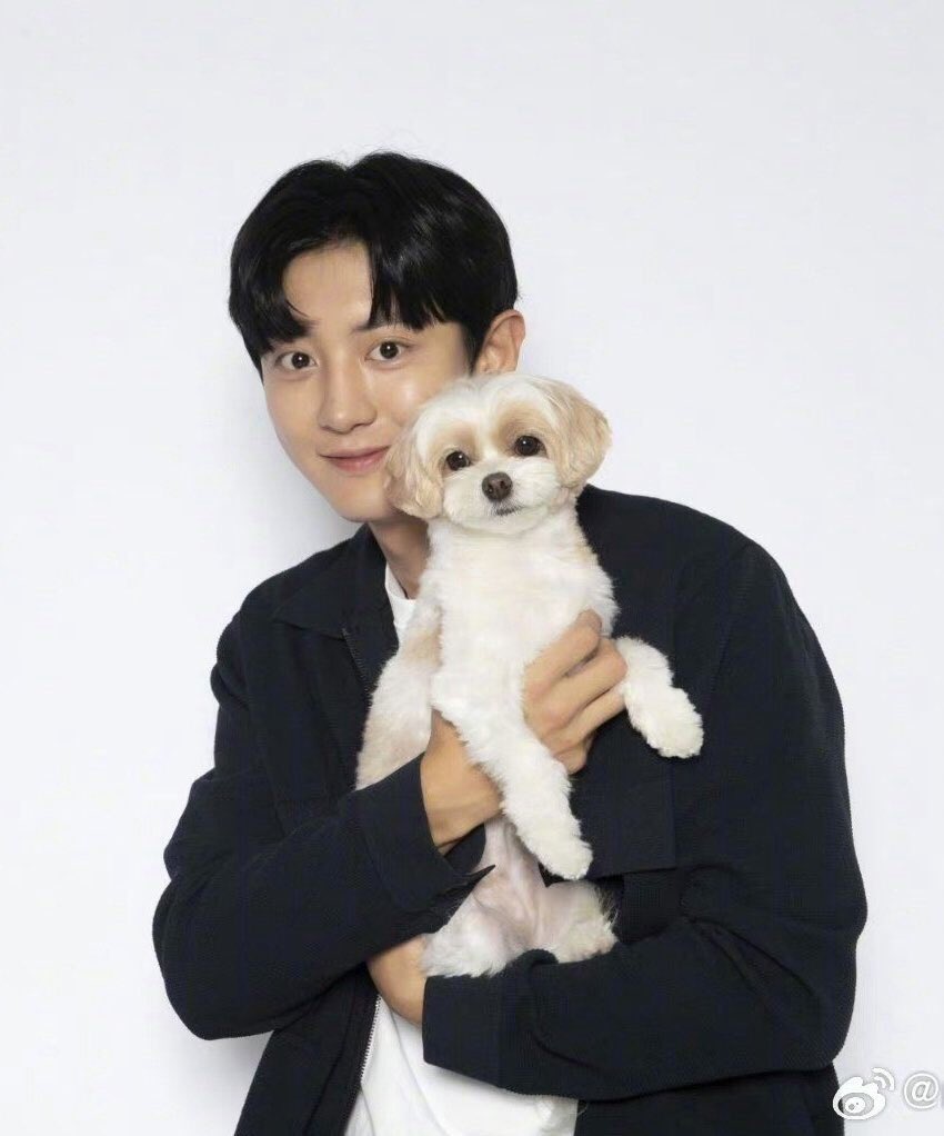 燦烈 (EXO)的最新照片