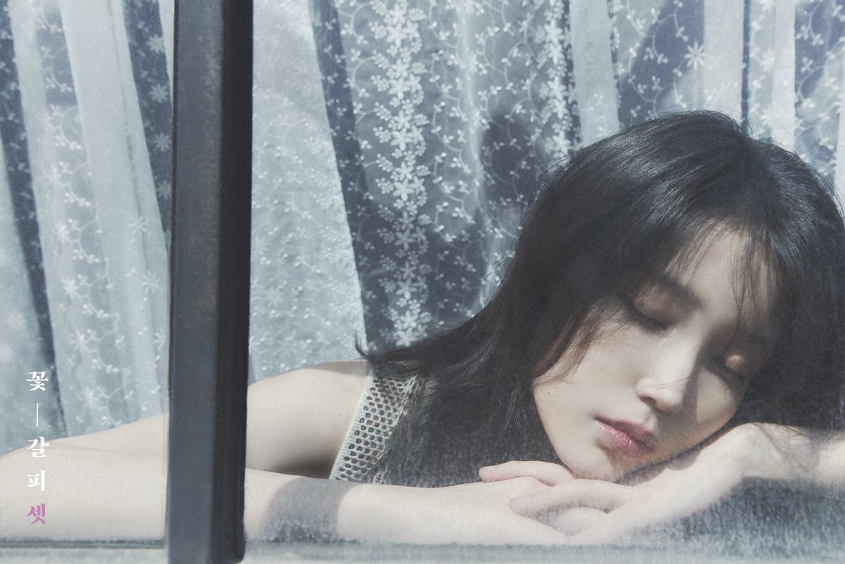 A moment captured by IU's fan