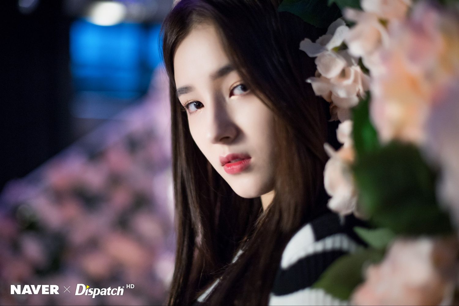 Latest photo of MOMOLAND
