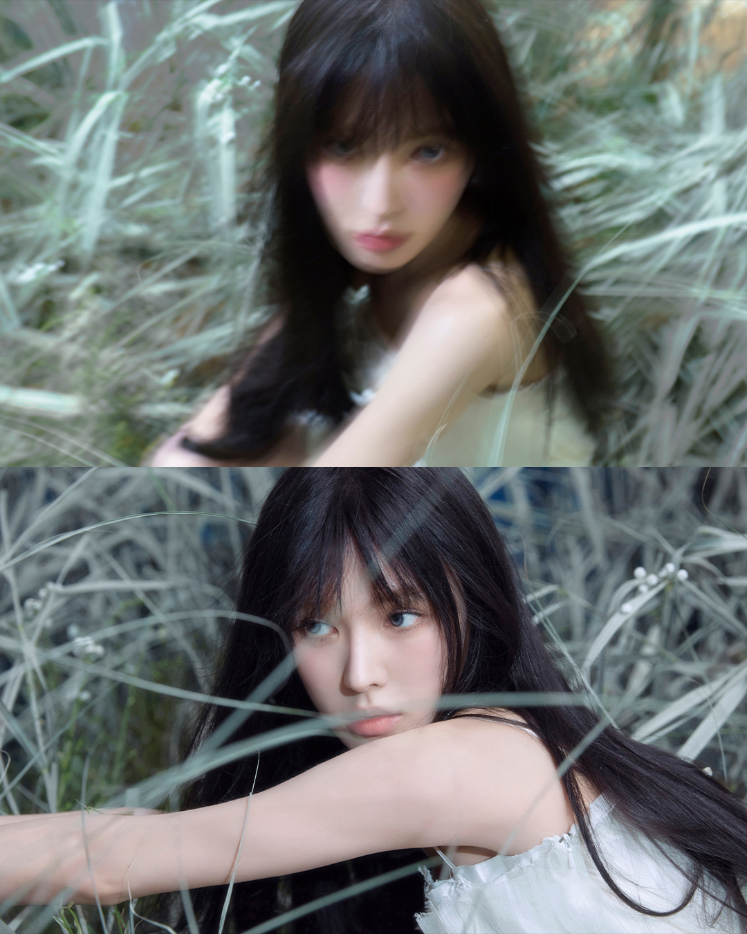 Latest photo of Wendy (Red Velvet)