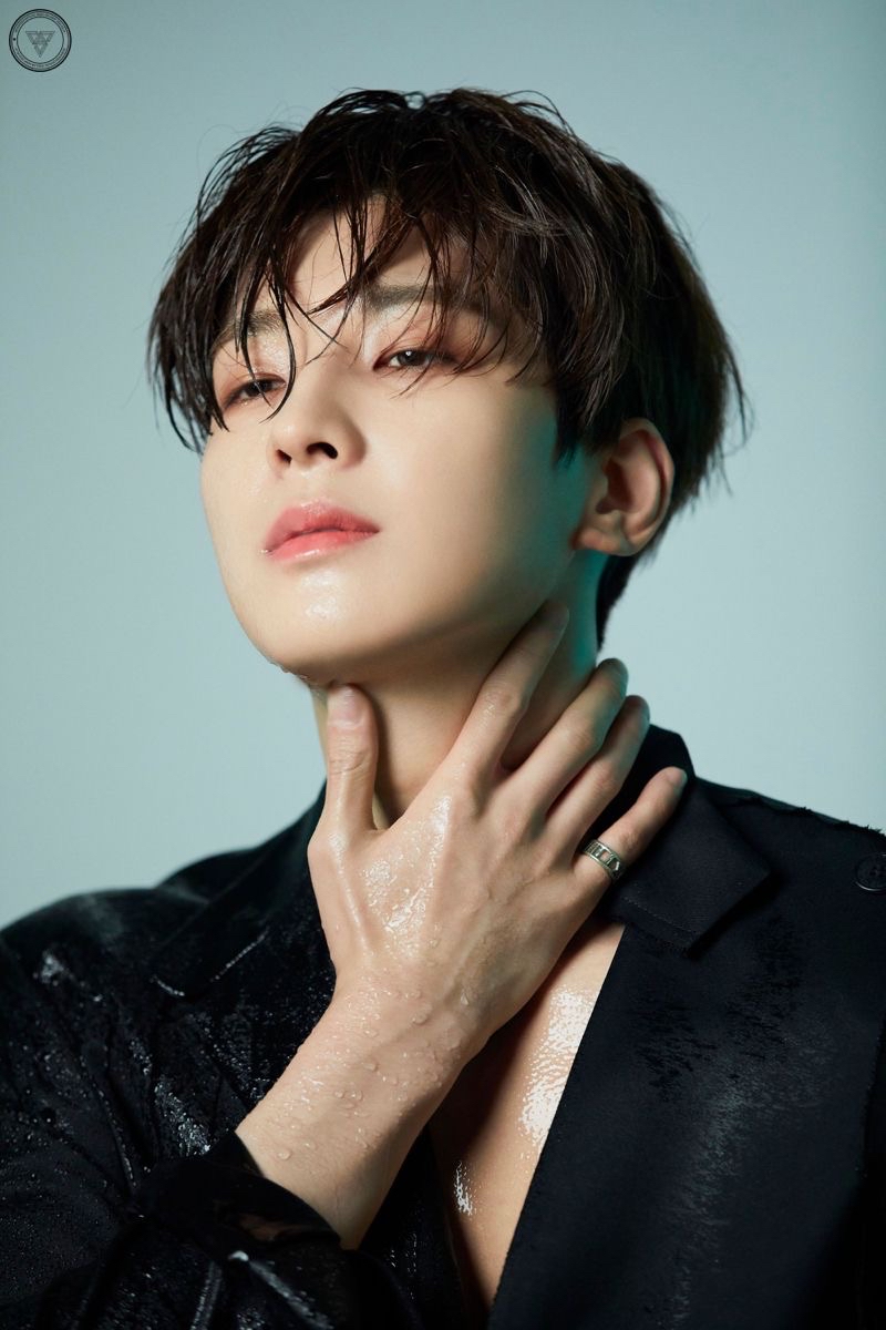 A moment captured by Wonwoo (SEVENTEEN)'s fan
