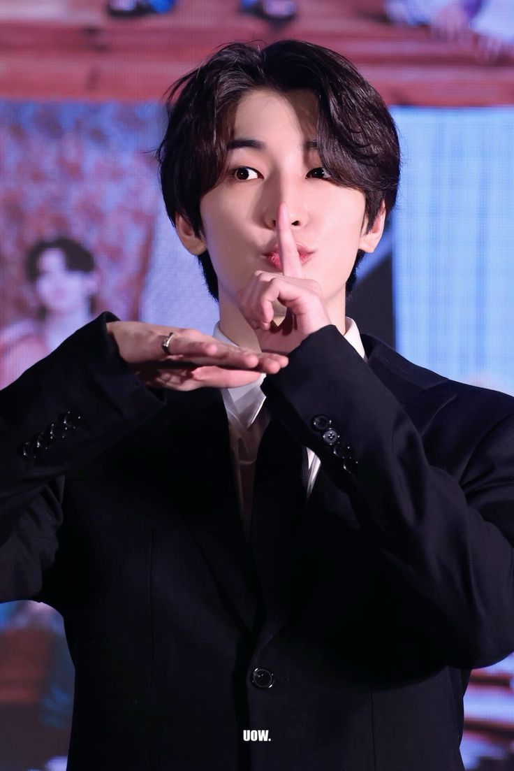 A moment captured by Wonwoo (SEVENTEEN)'s fan