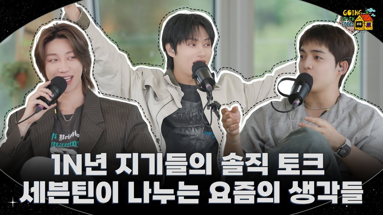 세븐틴 팬이 찍은 순간