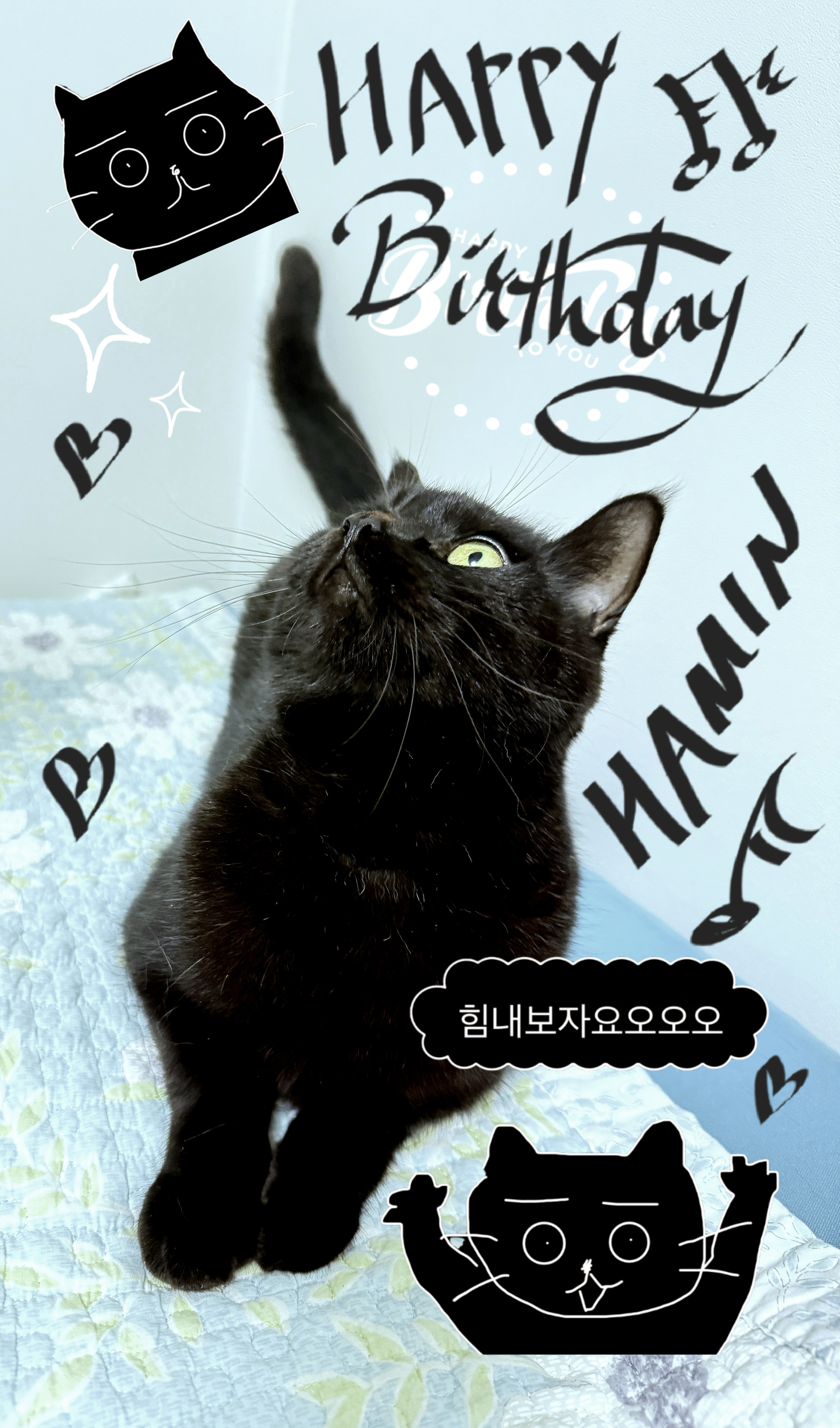 A heartfelt wallpaper shared by Hamin (PLAVE)'s fans