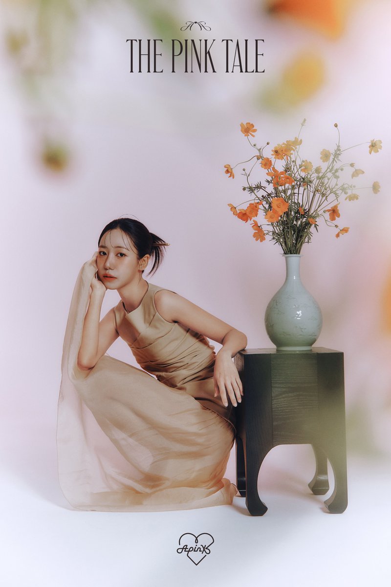 에이핑크 팬이 찍은 순간