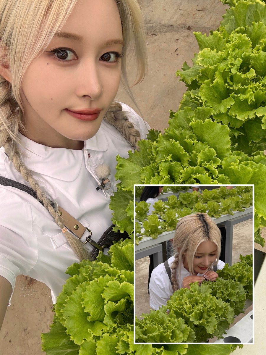 Latest photo of WJSN