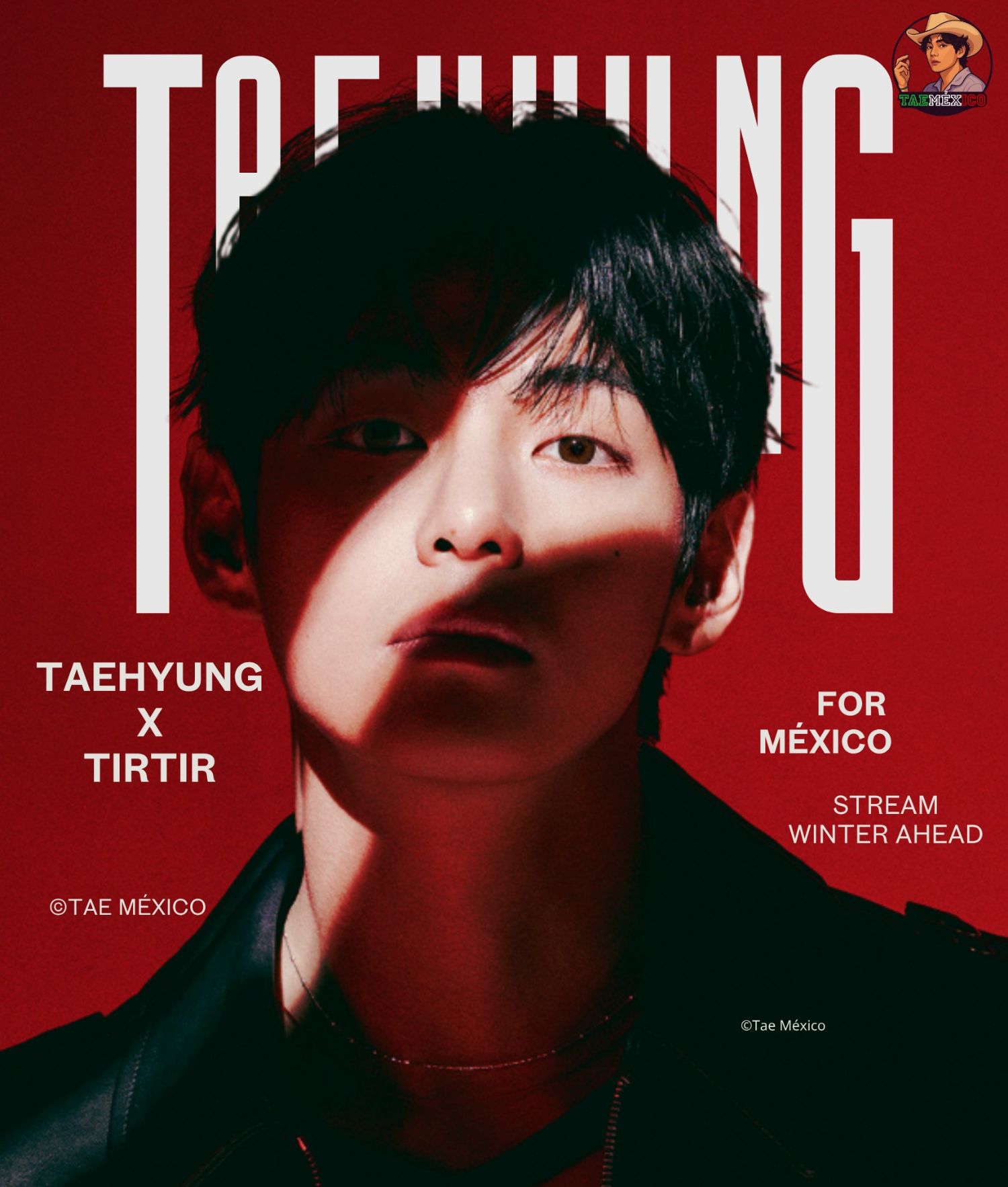 뷔 (방탄소년단) 팬이 찍은 순간