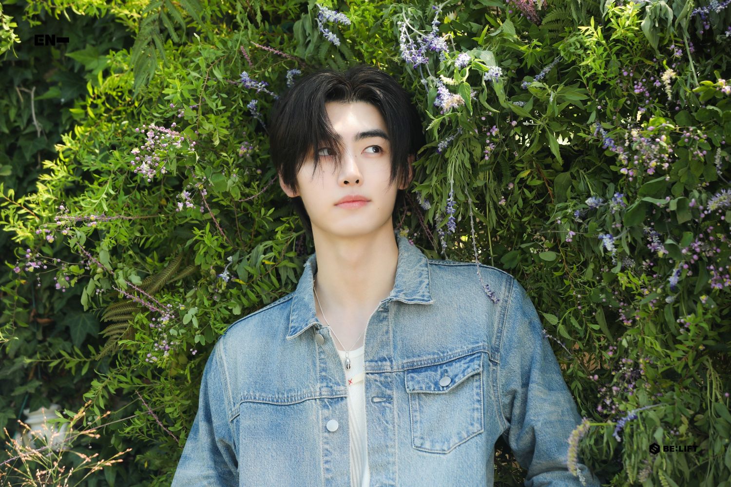Recent activity shot of Sunghoon (ENHYPEN)