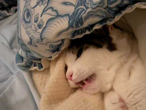 레드벨벳의 비하인드 컷