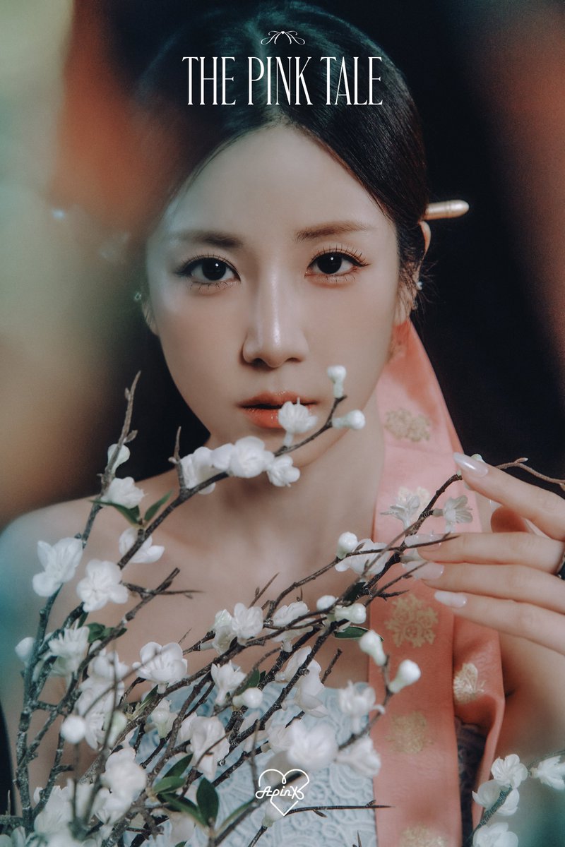 에이핑크 팬이 찍은 순간