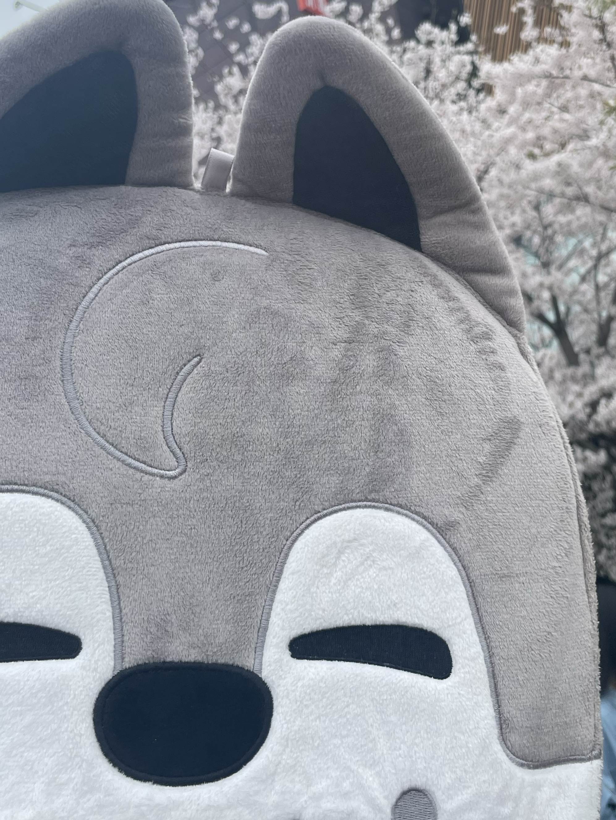 A moment captured by Bang Chan (Stray Kids)'s fan