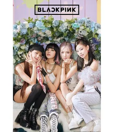 A moment captured by BLACKPINK's fan