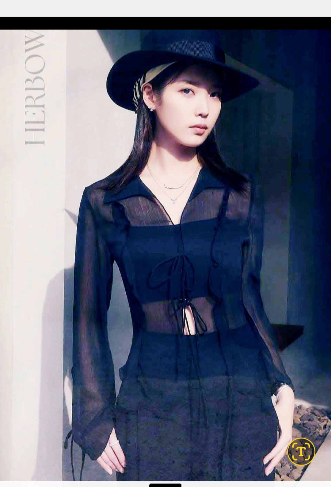 IUファンが撮った瞬間