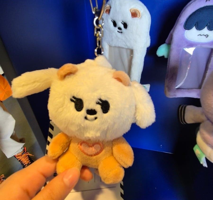 TOMORROW X TOGETHER粉絲拍下的瞬間