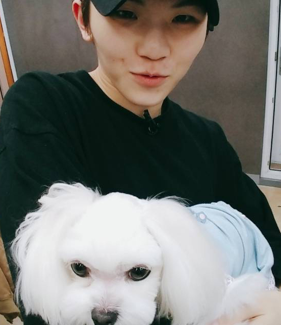 Recent activity shot of Woozi (SEVENTEEN)