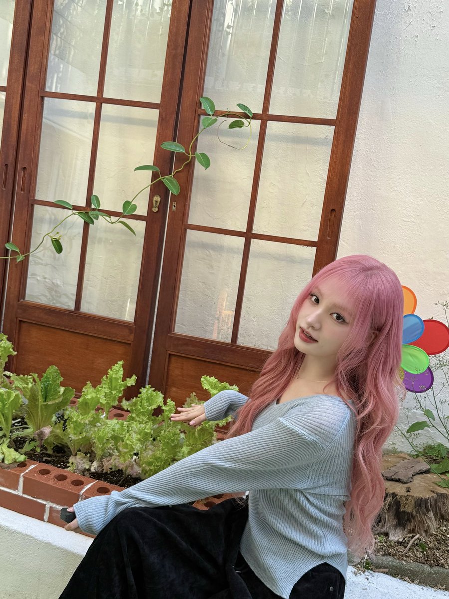 A moment captured by IVE's fan