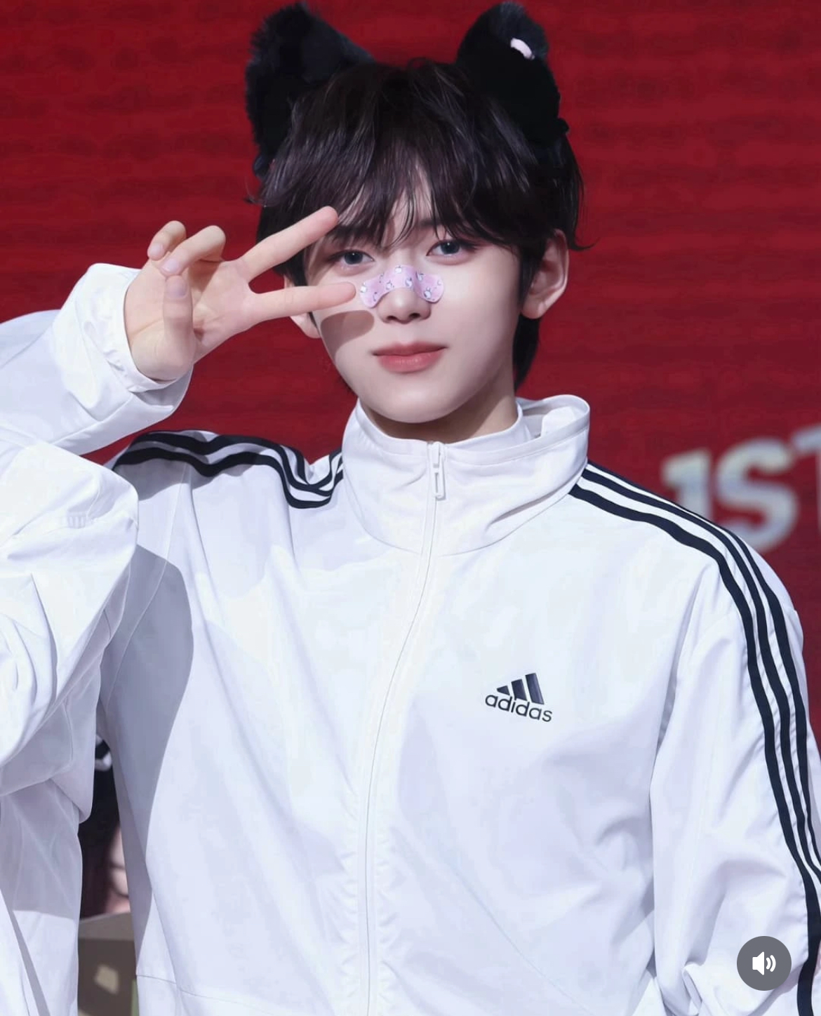 Recent activity shot of Lin (NouerA)