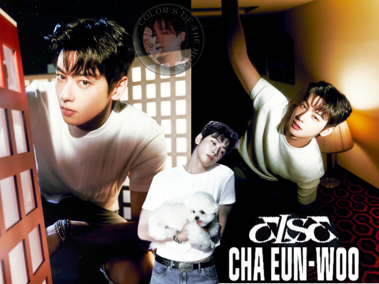 A moment captured by Eunwoo (ASTRO)'s fan